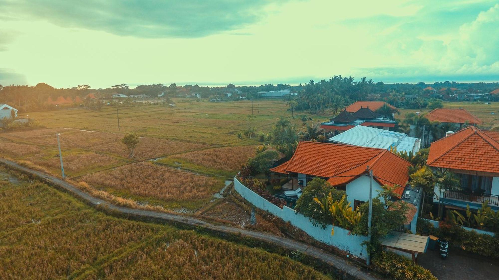 Villa Maya Ubud, Peaceful Rice Field View Luaran gambar