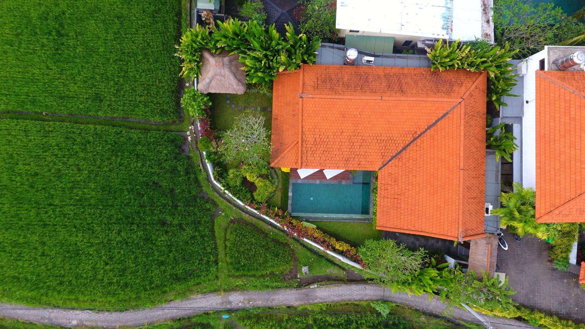 Villa Maya Ubud, Peaceful Rice Field View Luaran gambar