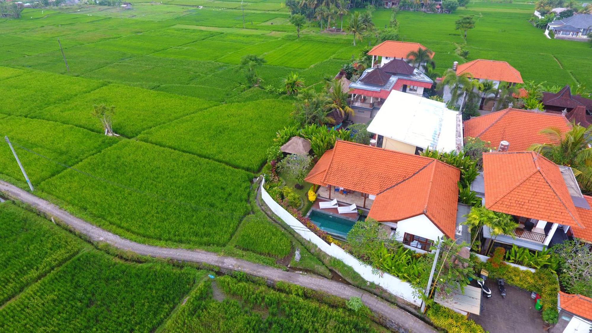 Villa Maya Ubud, Peaceful Rice Field View Luaran gambar